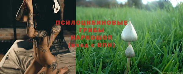ПСИЛОЦИБИНОВЫЕ ГРИБЫ Медногорск