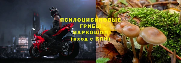 бошки Мегион